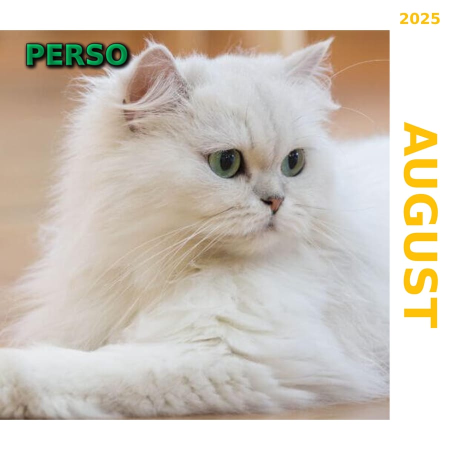Customized Calendar (DEV)