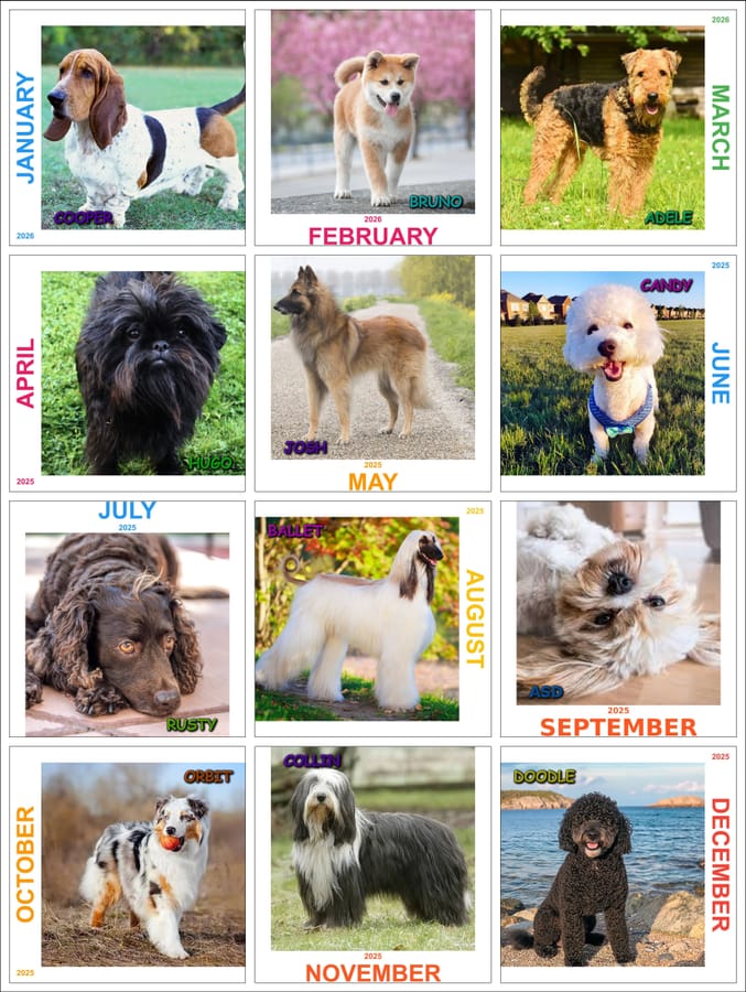 Customized Calendar - asd