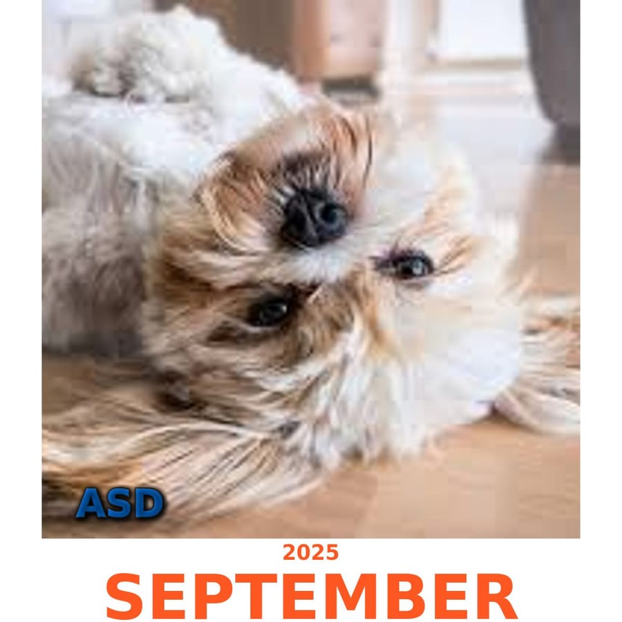 Customized Calendar - asd