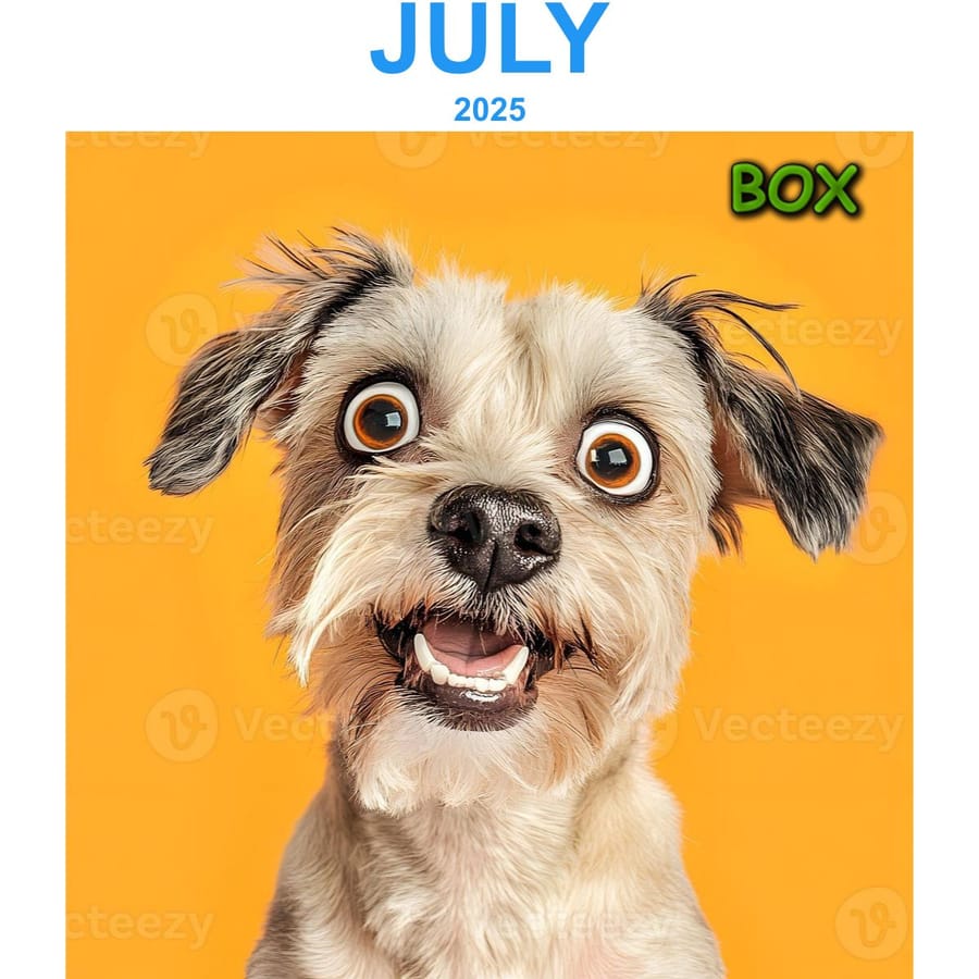 Customized Calendar - Box