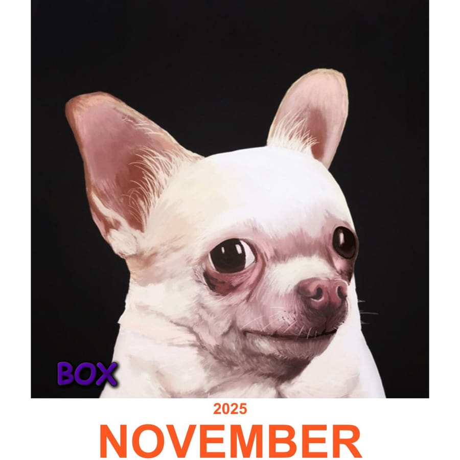 Customized Calendar - Box