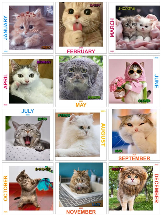 Customized Calendar (DEV)