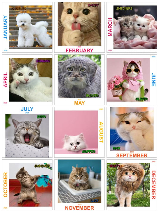 Customized Calendar (DEV)