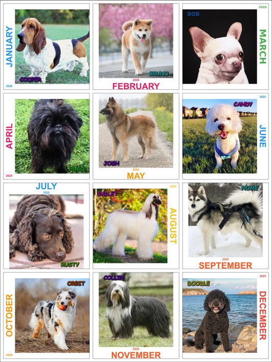 Customized Calendar - Bob
