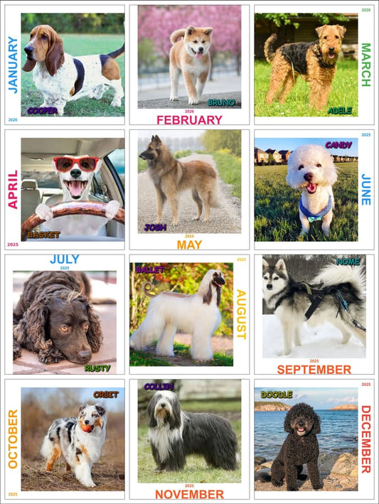 Customized Calendar - Basket