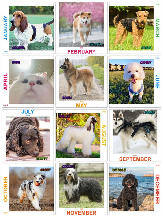 Customized Calendar - Bide