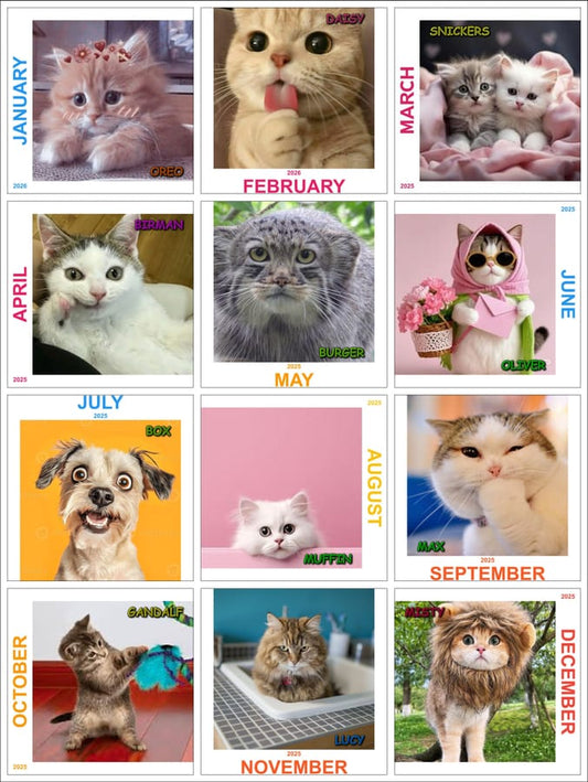 Customized Calendar - Box