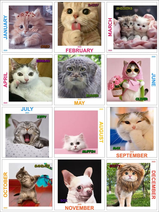 Customized Calendar - Box