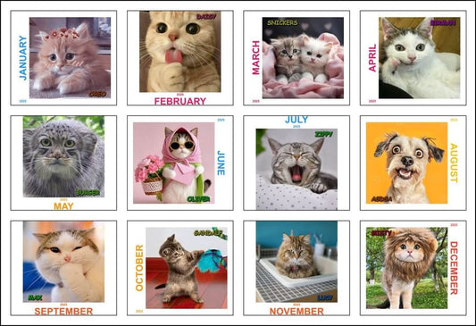 Customized Calendar - asdsa